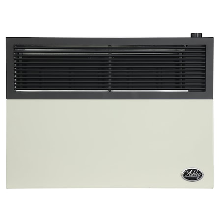 Ashley Hearth Products 17,000 BTU Direct Vent Propane Wall Heater DVAG17L